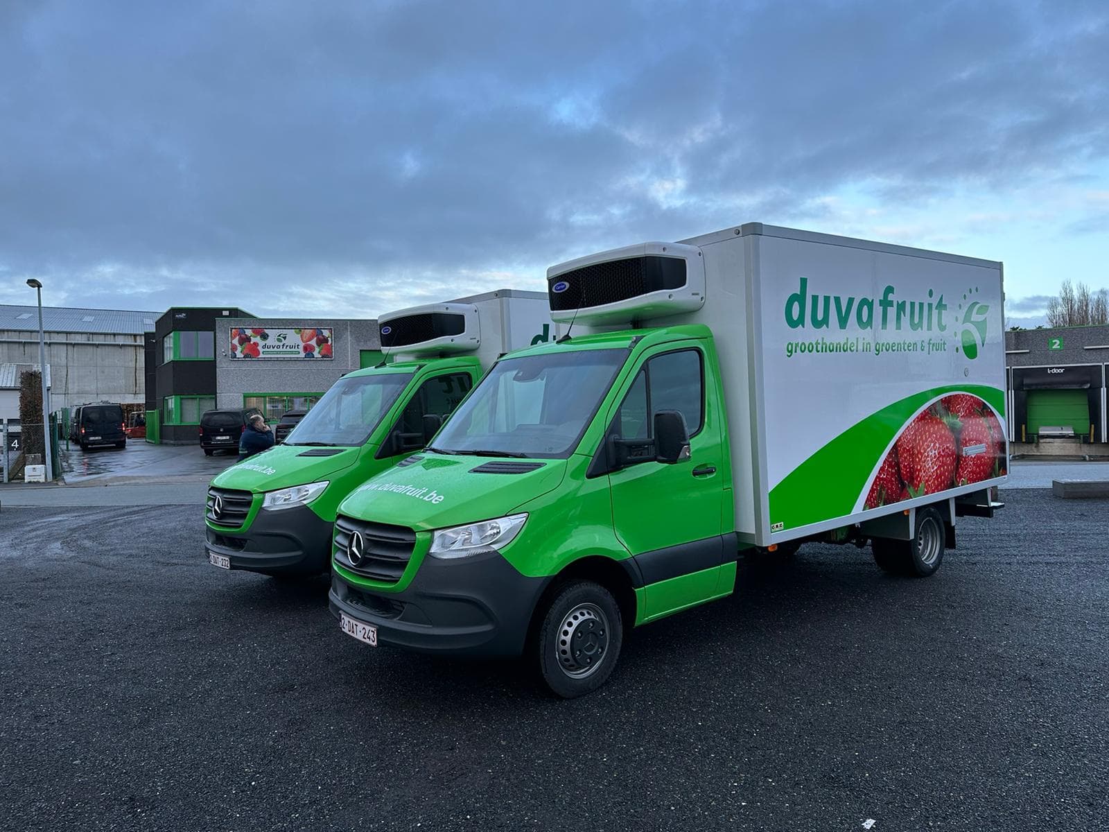 Two green Duvafruit Mercedes Sprinter refrigerated vans with Carrier units on the roof, parked on the yard at dusk